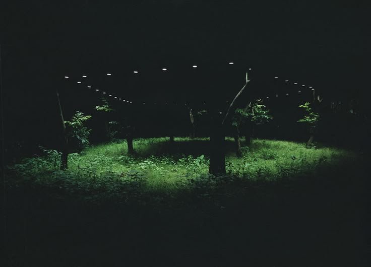 Artistic interventions