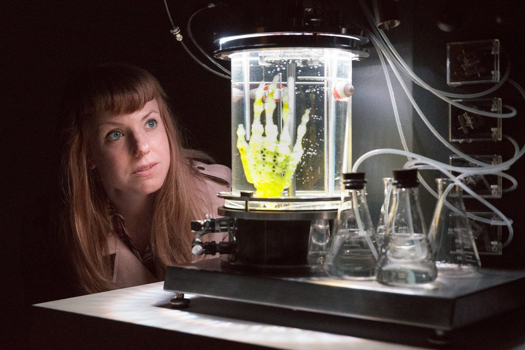 Bioart