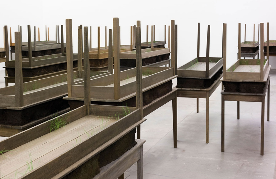 Doris Salcedo